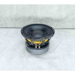 1000 Watts Dual Magnet Speaker Live Tsunami Storm 8 at 1KW
