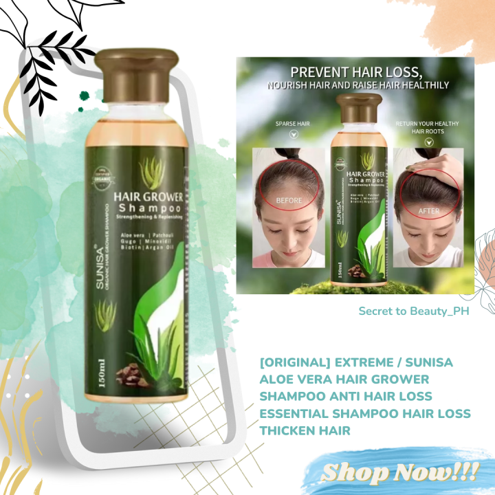 buy aloe vera plant Aloe Vera Plant for Sale | Shop Houseplants for Sale main image 1