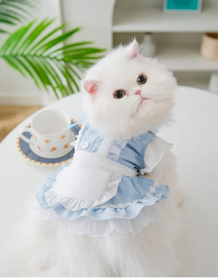 Cat shop princess dress