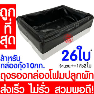 *โค้ดส่งฟรี* ถุงรองกล่องโฟม ถุงดำรองกล่องโฟม ถุงรองกล่องโฟมปลูกผัก ถุงดำรองกล่องโฟมปลูกผัก ไฮโดร ไฮโดรโปนิกส์ ผักไฮโดร ปลูกผักไฮโดร