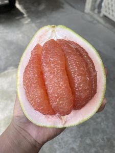 Premium Organic Davao Pomelo - Fresh Juicy Sweet Fruit Juice