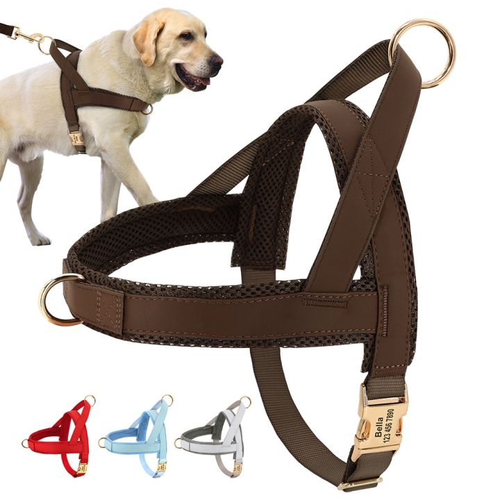 Personalized Dog Harness No Pull Dog Harnesses Adjustable Pet Walking Training Vest For Medium Large Dogs Bulldog Free Engraving Lazada Singapore