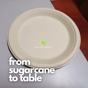 10 Inch Brown Biodegradable Disposable Plate 50 pieces Strong Quality Factory Direct Sugarcane Plate