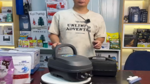 Sủi tích điện hồ Koi hồ cá- bể hải sản CPA-40-60-70-100-120-Sau khi ngắt điện có thể chạy 9-10 tiếng