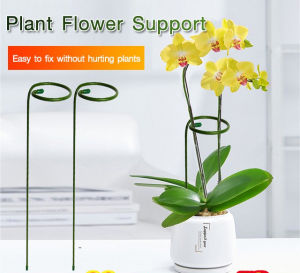 Plant Flower Support