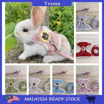 Rabbit accessories online best sale