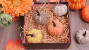 12 PcsThanksgiving Fall Pumpkin Hanging Ornament for Tree 2.05 Inch Burlap Fabric Pumpkin Thanksgiving Hanging Decor for Fall Tree Harvest Party Mantel Wall Craft (Bright Color)