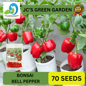 (70 SEEDS) BONSAI BELL PEPPER SEEDS/FOR POT AND CONTAINER/HIGH YIELDING