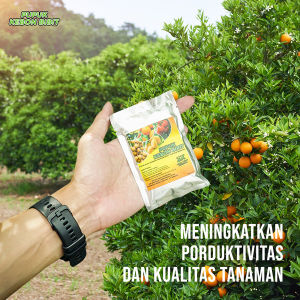 Pupuk Kebon Bibit 3x Mempercepat Tanaman Berbuah Paling Ampuh Beli 1 Gratis 1