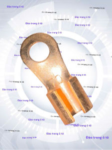 Khuyên đầu đồng 70 bắt vào dây cáp đầu bọp bình áp quy cho xe ô tô