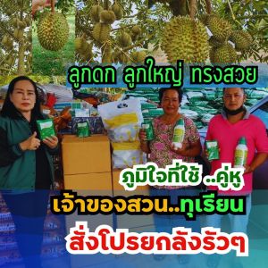 ปุ๋ยทุเรียน โปรยกลัง เวิลด์แพลนท์ ไคโตซาน World Plant Chitosan + สารเพิ่มประสิทธิภาพ คู่หูมหัศจรรย์ ของแท้100%