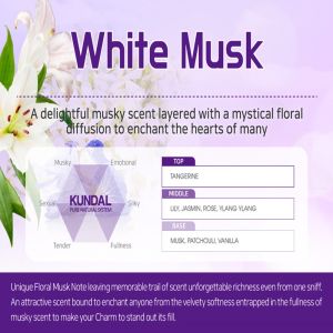 KUNDAL Honey & Macadamia Nature Shampoo | Protein Hair Treatment   500ml - All Variant (Made in Korea)