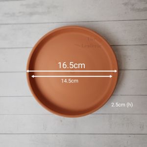 The Leaferie Terracotta flowerpot tray (8 sizes) . saucer . flowerpots plate. flower pot trays . plant pots base. planter . planters