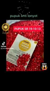 Pupuk Merah Slow Release 19-10-13: Pilihan Terbaik untuk Tanaman Aglonema dan Anggrek