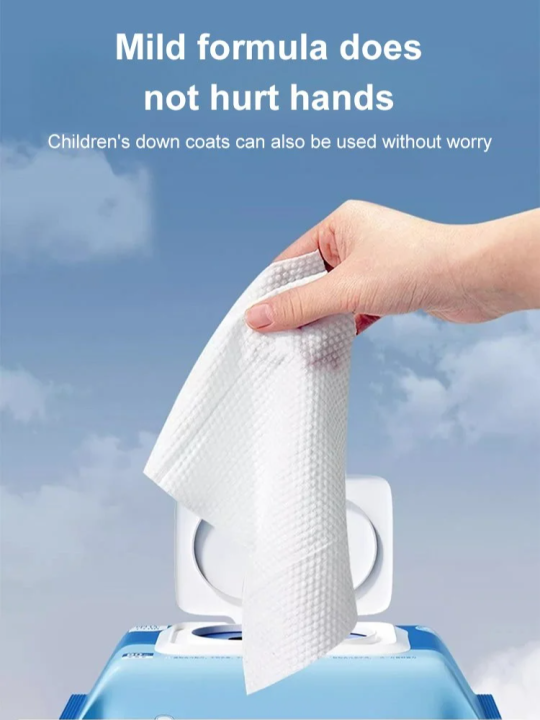Special stain removal down jacket strong wet wipes Lazada PH