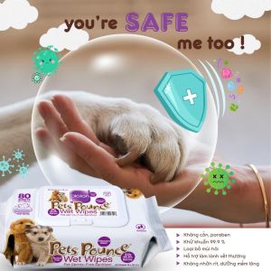 khăn giấy Bioion giúp khử mùi và làm sạch dành cho mọi loại thú cưng (chó mèo thỏ bọ hamster...) - T3 PETS SHOP