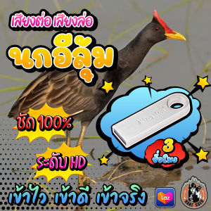 เสียงต่อนกอีลุ้ม เสียงล่อนกอีลุ้ม แฟลชไดร์ฟเสียงนกอีลุ้ม ชัด เสียงใส ไม่มีโฆษณาแทรก พร้อมส่ง! มีเก็บเงินปลายทาง!!!