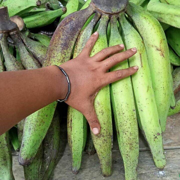 Pisang Tanduk