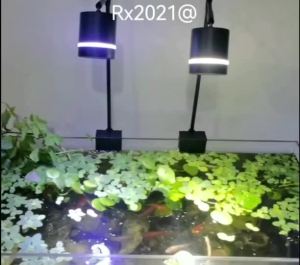 Aquarium Light Fish Tank Light Aquatic Plant Downlight Full Spectrum Grass Tank Burst Algae Discoloration COB Highlight Spotlight Chandelier