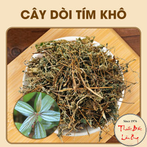 Cây dòi thân tím 100g cây bọ mắm khô trà bọ mắm thơm sạch - Lãn Ông