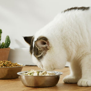 Elevated Cat Bowl Stainless Cat Dog Feeder and Drinker Double Bowl Pet Feeder Anti Overturning