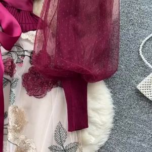 Elegant French-style embroidered mesh dress for women. High-waisted A-line skirt long sleeves autumn 2025K.