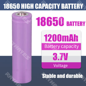 RAYHAYES Battery Charger USB Charger Battery Charger Portable Universal Charger