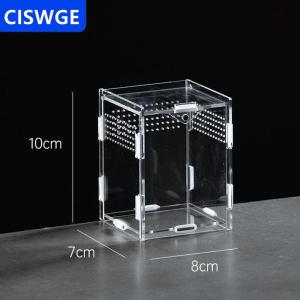 [COD] CISWGE AUTOPARTS Acrylic trong suốt bò sát chăn nuôi hộp Terrarium môi trường sống côn trùng nhện thằn lằn Bọ Cạp ăn lồng arboreal bao vây trường hợp