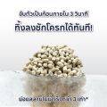 แมคการ์ด (McGuards) ทรายแมวจับตัวเป็นก้อน รักษ์โลก คาร์บอนต่ำ ทำปุ๋ยหมักและย่อยสลายได้ 100% จำกัดกลิ่น ไม่ทิ้งเศษ. 