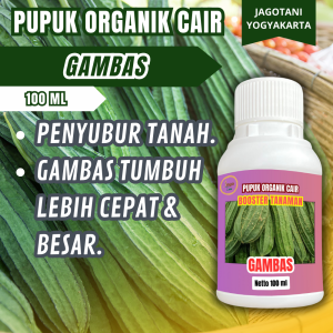 Pupuk Organik Cair Gambas 100 Ml Hormon Pemicu Pelebat Dan Penyubur Tanaman By Jagotani Yogyakarta