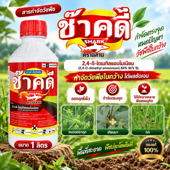 ช๊าคดี้ 2,4-ดี ทูโฟดีน้ำ กำจัดวัชพืชใบกว้าง กก ประสิทธิภาพสูง