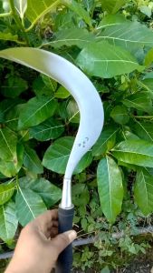 Arit Rumput alsi buat Tan madura dari tangan Pertama