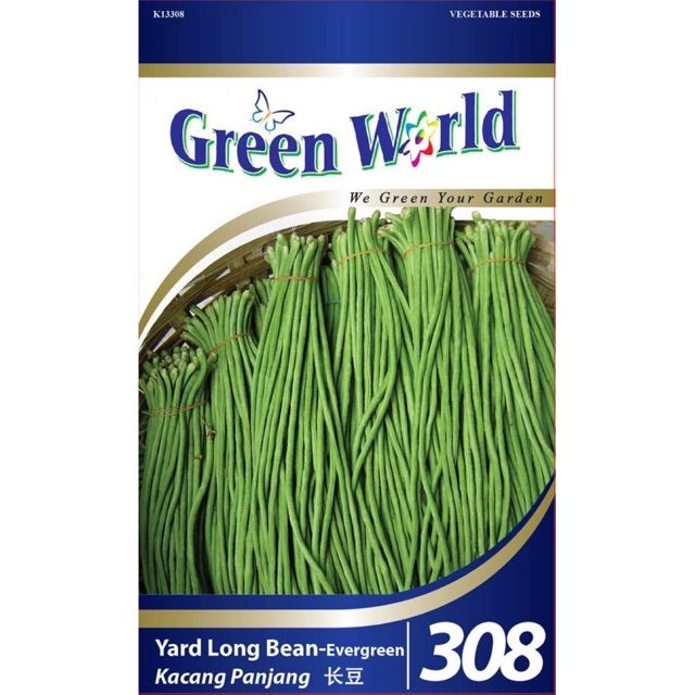 Green World Yard Long Bean Evergreen (50 seeds) 长青豆 GW308 Biji