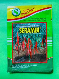 Benih Cabe Cabai Keriting SERAMBI Pertiwi isi ±10 gr terbaikk!!