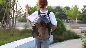 Carrier Beg Kucing Cat Backpack Cat Bag Carrier Bag Kucing Murah Beg Kucing Galas Belakang Beg Kucing Travel