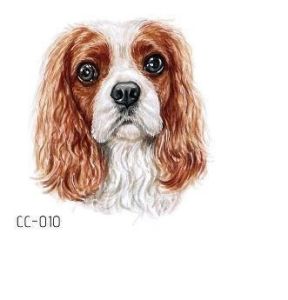 1 Pcs Cat/Dog Normal Tattoo Sticker 6cm x 6cm  tatu Sticker Kuching Anjing CC-Tattoo Series