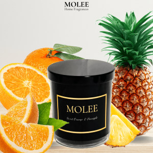 🇸🇬 [SG Seller  & Local Stock ] Japanese Inspired candle warmer design with 3 timer option [2hr  4hr  8hr]  [MCW006]