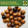 Sigarilyas 7 Seeds Kalamismis Winged Beans Binhi Pantanim Vegetable Outdoor Garden Plant Binhi Pantanim. 