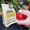 Pupuk Booster Stoberi / Obat Booster Buah Strawberry / Pupuk Booster Strawberry / Pupuk Strawberry. 