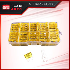 TeamAutoCare TAC6249 100 Pieces Automotive Standard ATO Blade Fuse 20A Replacement Kit with Storage Case and Fuse Puller for Cars  Trucks  Motorcycles