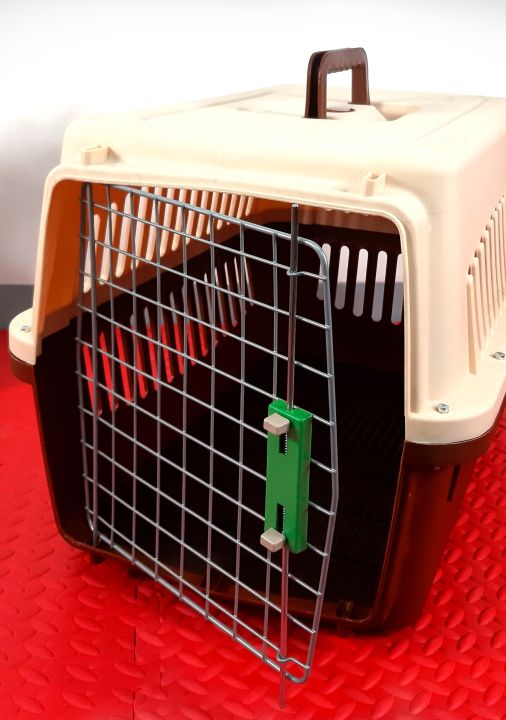 RAPTOR Pet Carrier Heavy Duty Plastic, 68 x 47 46 cm Brown, Travel Airline  Approved Pet Crate Portable Lazada PH