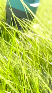 อุจจาระสัตว์เลี้ยงแบบมีที่หนีบสำหรับหยิบของที่ที่ตักอึคอกสัตว์เลี้ยงเครื่องจ่ายสำหรับกระเป๋าสุนัขและแมวใช้กลางแจ้งที่คีบทำความสะอาด