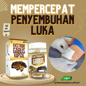 Ekstrak Gabus Kapsul - Kapsul Ekstrak Gabus Syifa - Ekstrak Gabus 60 Kapsul Habbasyifa