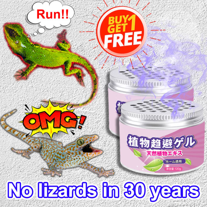 No lizard within 500 meters DD lizard repellent lizard killer Plant ...