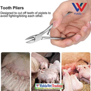 Piglet Tooth Nipper Stainless Steel Teeth Suckling Stainless Steel Pig Stainless Steel Pig Tooth Nipper Piglets Teeth