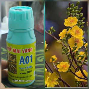 Kích ra rễ mai vàng A01 Giải Pháp Cho Bộ Rễ Khỏe Cây Bung Chồi Mạnh 100ml