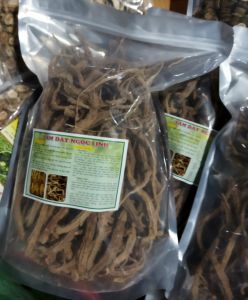 1kg SÂM DÂY ngọc linh kon tum thơm phức