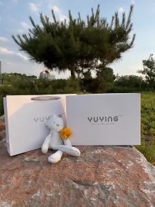 ชุดของขวัญสำหรับเด็กแรกเกิด ชุดผ้าฝ้ายฤดูร้อน ของขวัญสำหรับเด็กที่เพิ่งเกิด ของขวัญสำหรับการพบปะเด็กเต็มเดือน