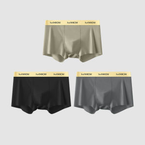 CMENIN  3Pcs Popular Nylon Men Underpants Boxers Shorts Low Waist Cueca Man Underwear Boxer Mens Panties Bragas M1271