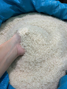 5kg Gạo mềm nấu cơm cháo cho bé lúa nhà trồng không thuốc trừ sâu